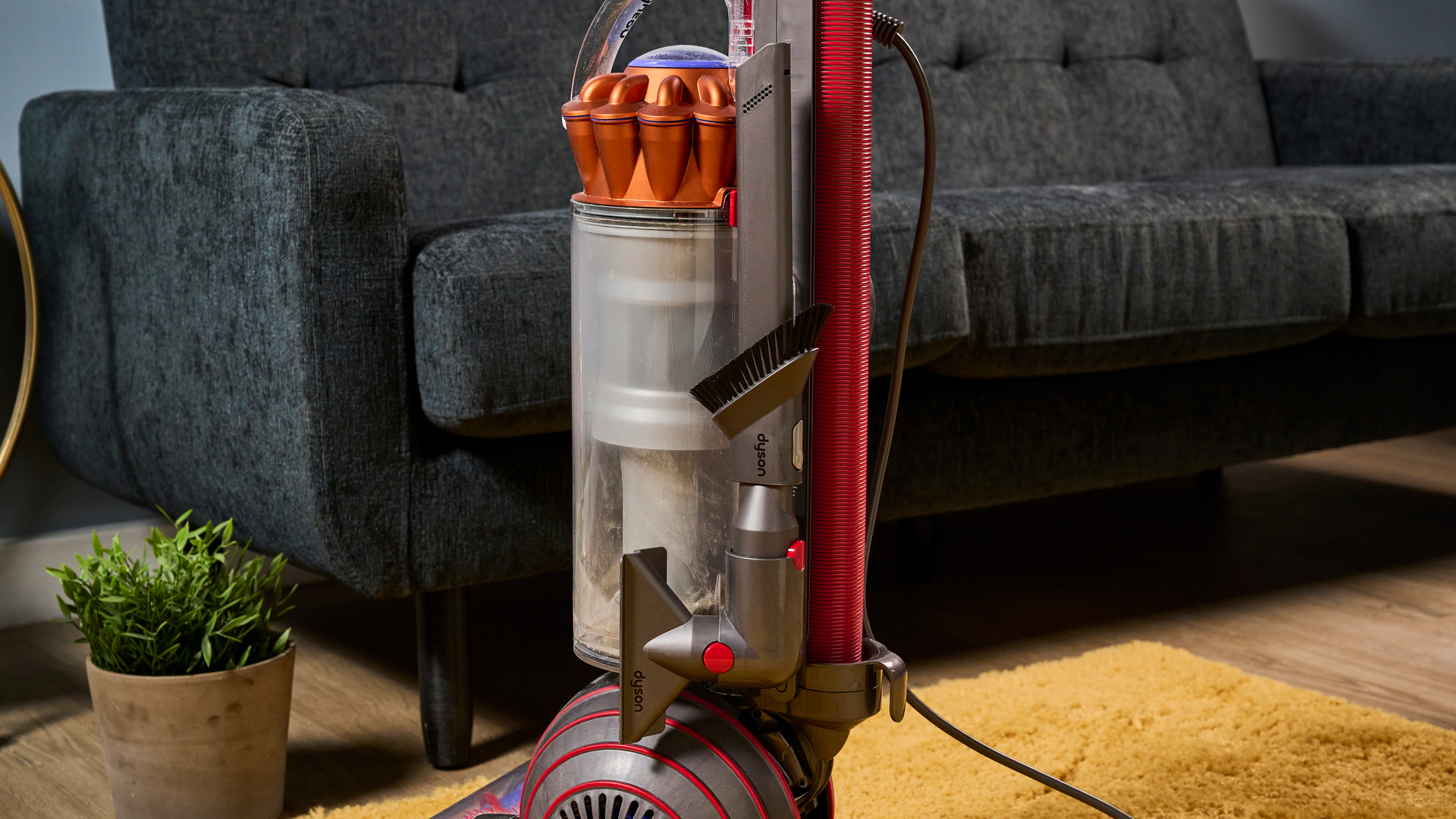 مكنسة Dyson Ball Animal العمودية