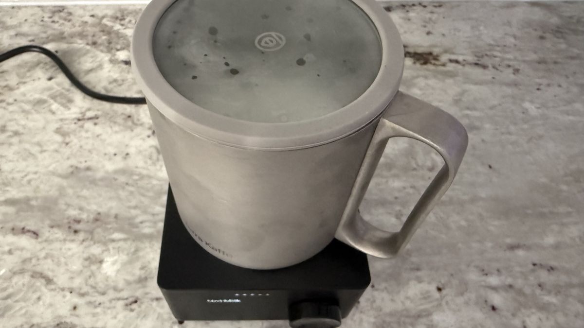 إعداد الحليب الساخن في Terra Kaffe Aero
