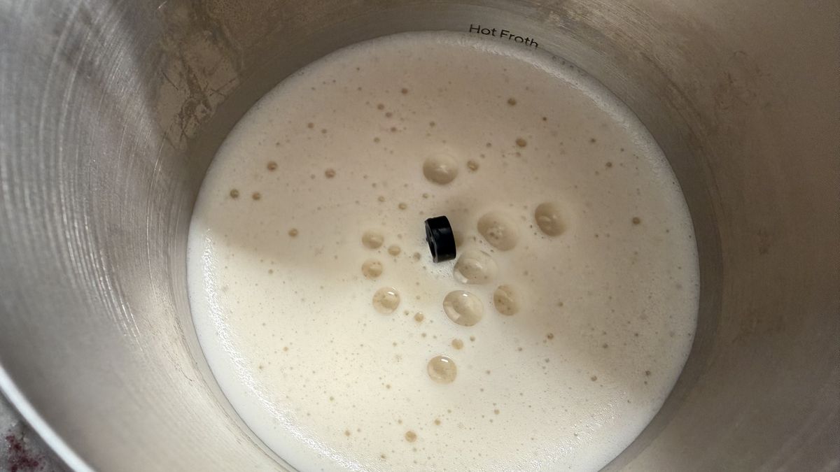 Terra Kaffe Aero مع حليب نباتي
