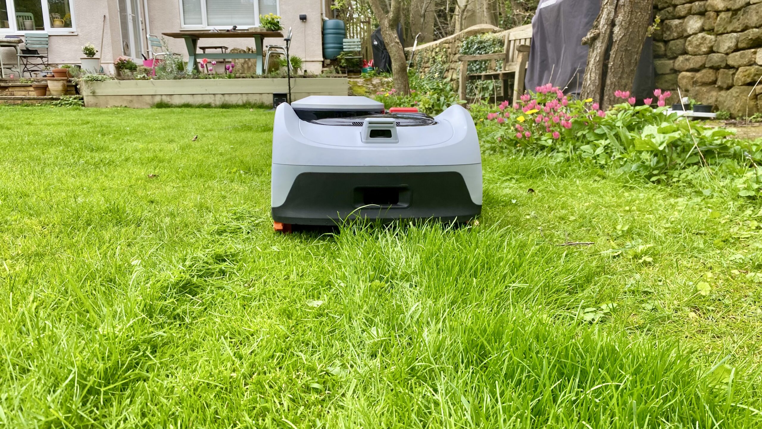 جزازة العشب الروبوتية Segway Navimow أثناء العمل في حديقة