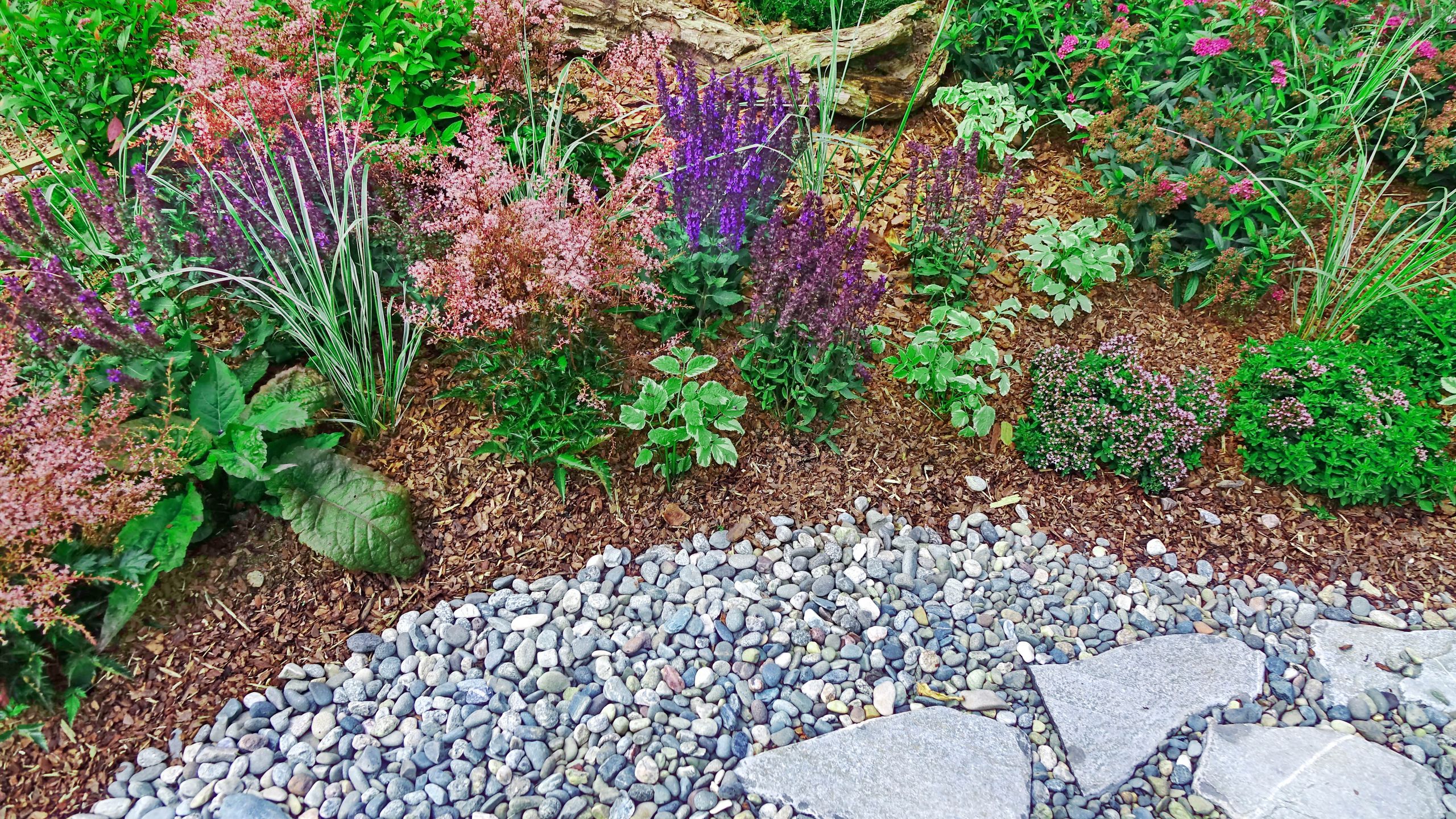 Cómo proteger tu jardín del calor del verano: Alternativas esenciales de plantas
