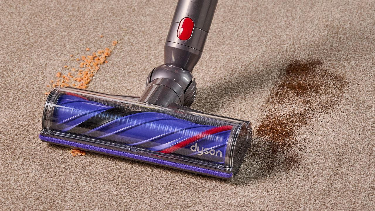 Mit einem Dyson V11 Staubsauger Linsen/Reis und getrockneten Tee aus Teppichen entfernen