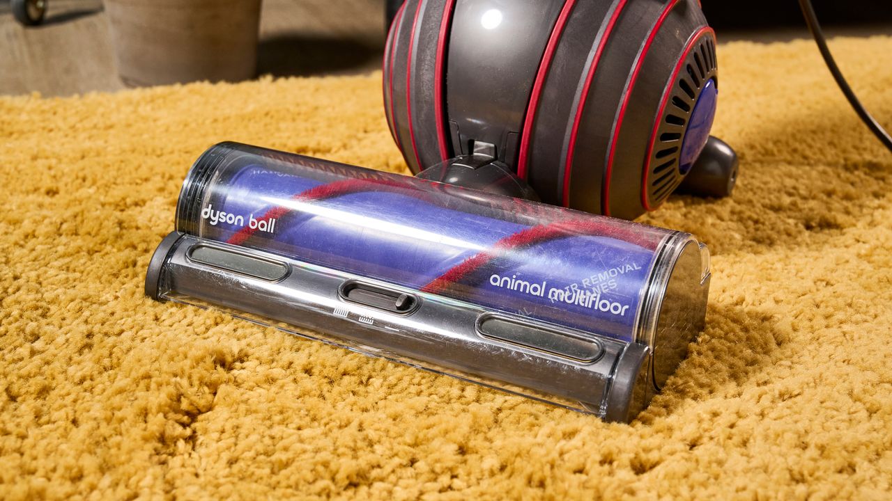 Dyson Ball Animal Bodenstaubsauger