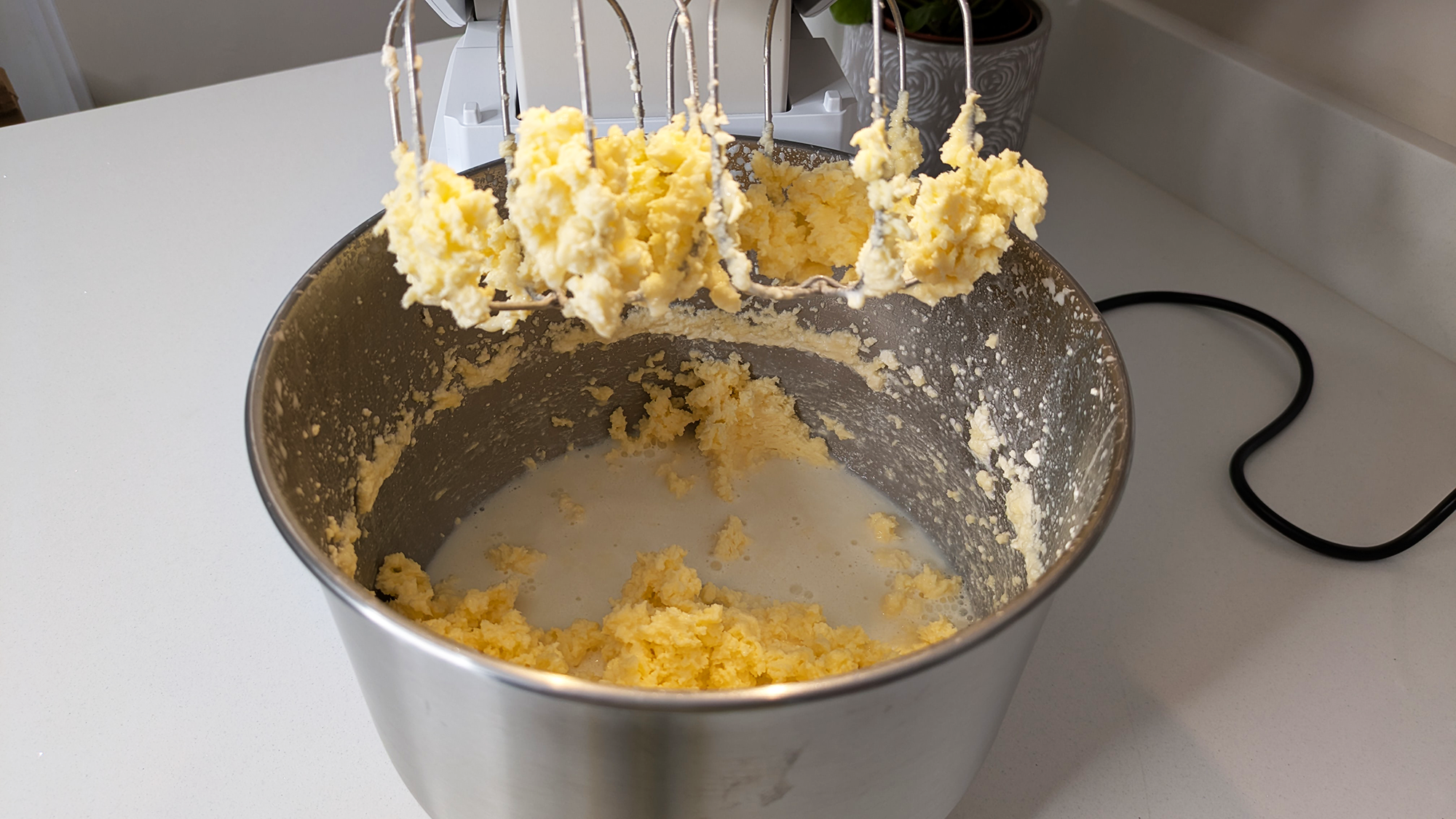 Trennung von Butter und Buttermilch in einem Ooni Halo Core Vertikalmixer