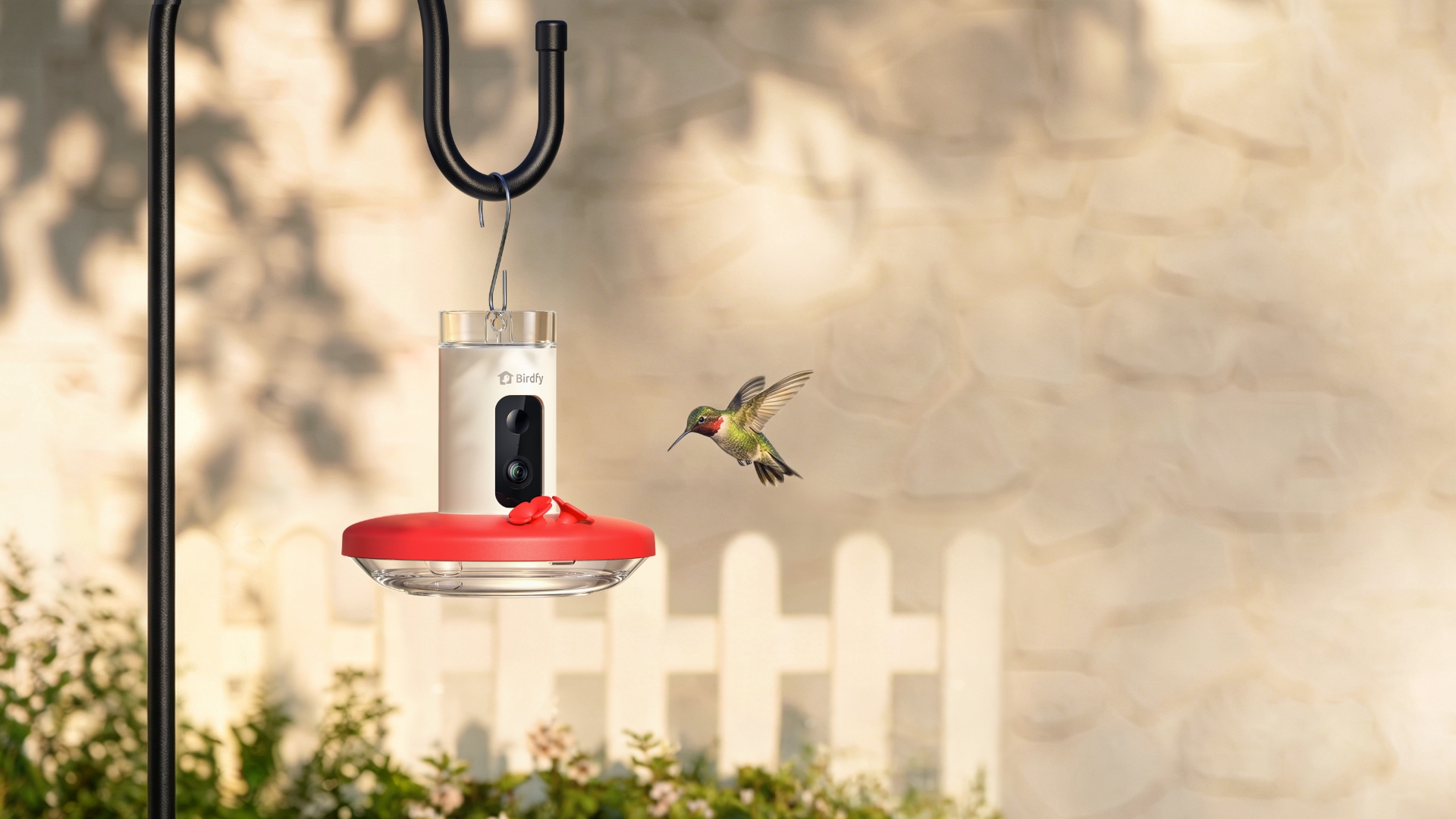 طائر طنان عند جهاز Birdfy الذكي لمراقبة الطيور
