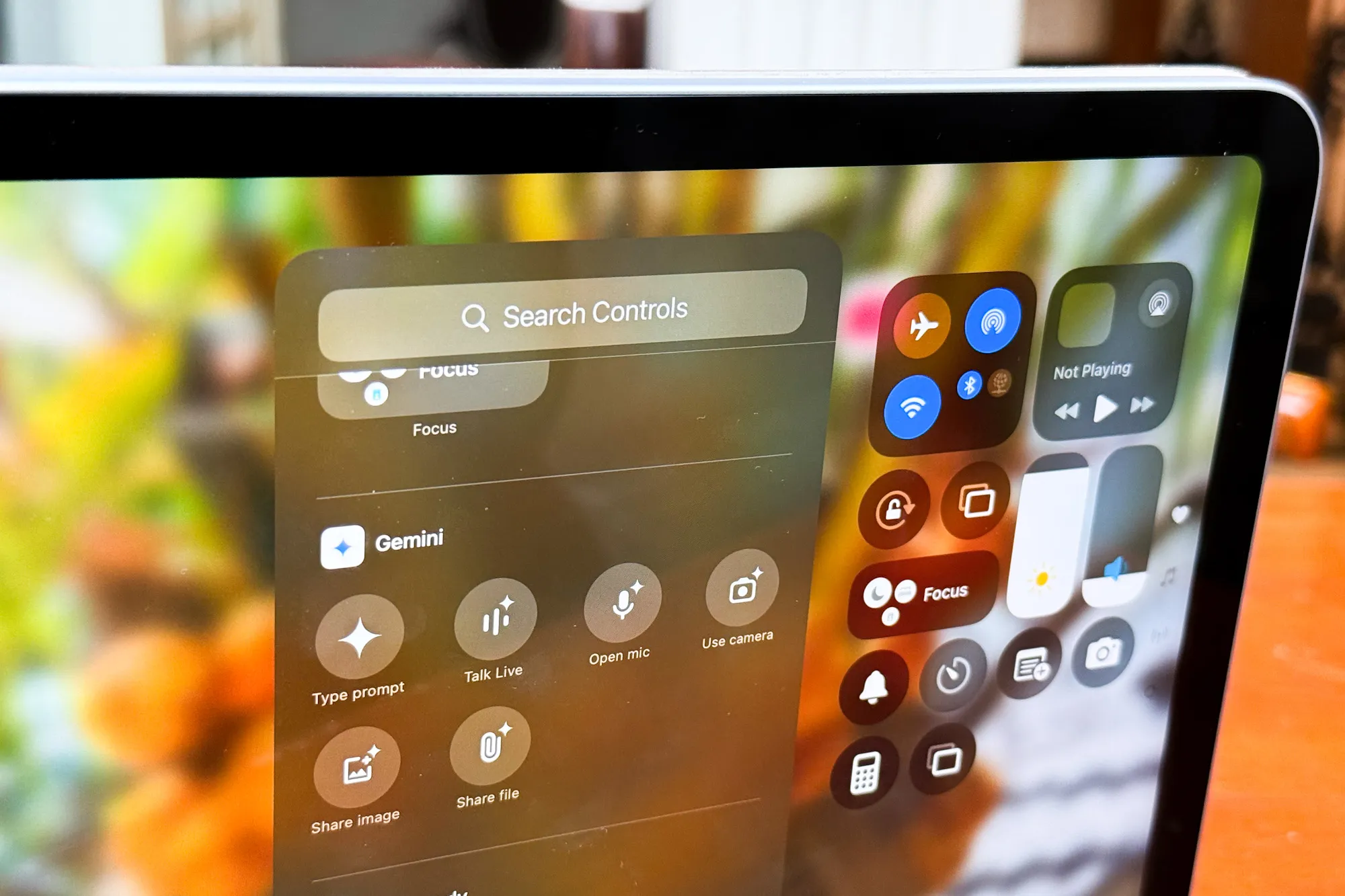 Gemini Controls on the 11th Gen iPad.