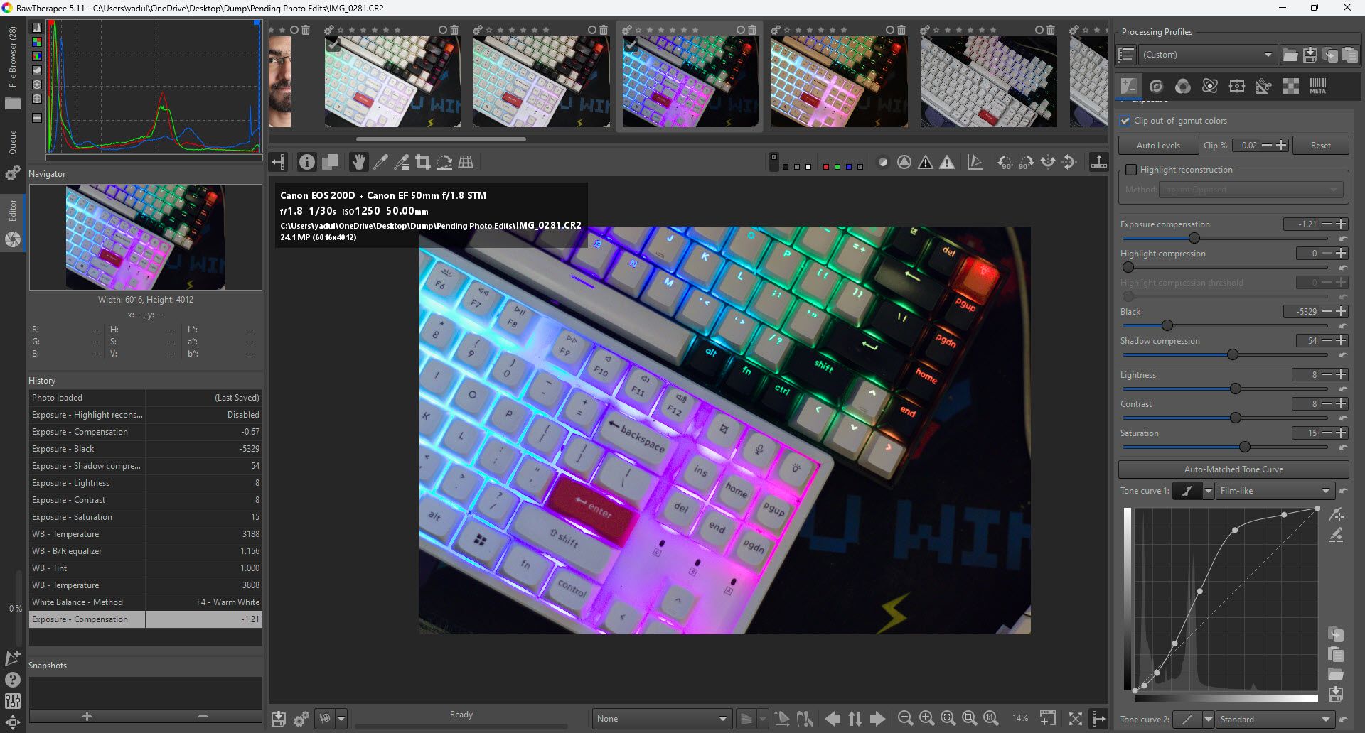 RawTherapee's user interface