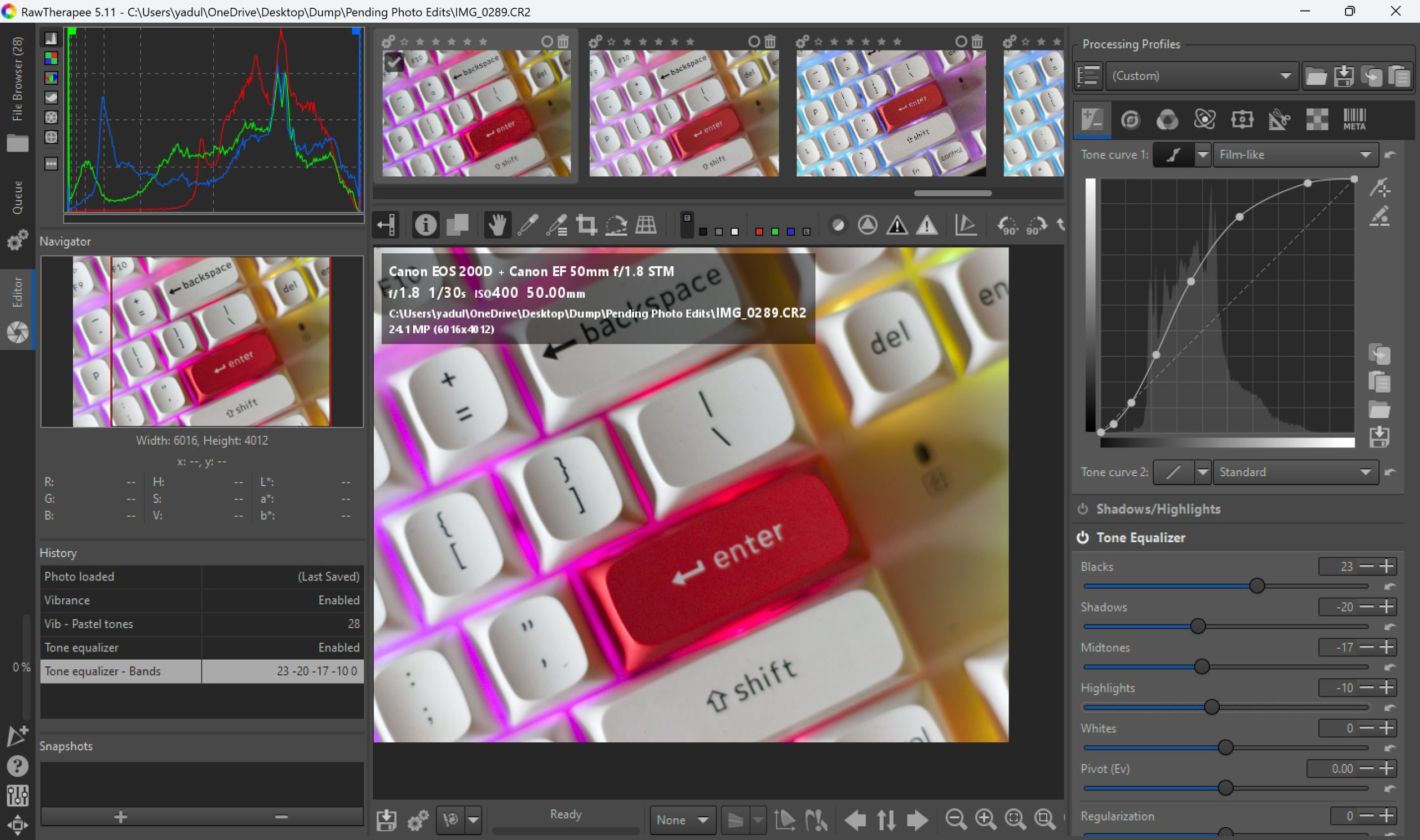 Advanced controls in RawTherapee