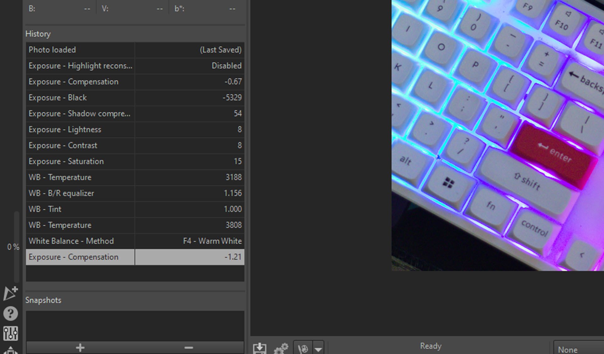 The History section in RawTherapee's user interface