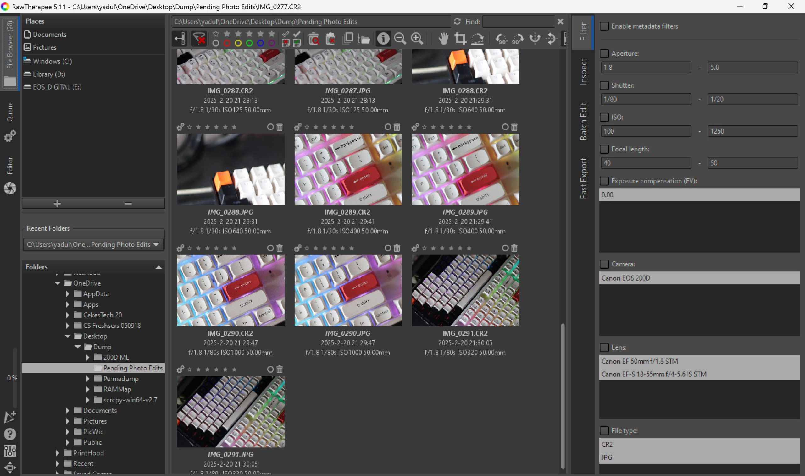 RawTherapee's Image browser