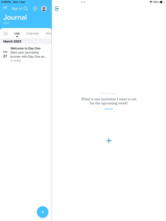 Day One Journal app on iPad
