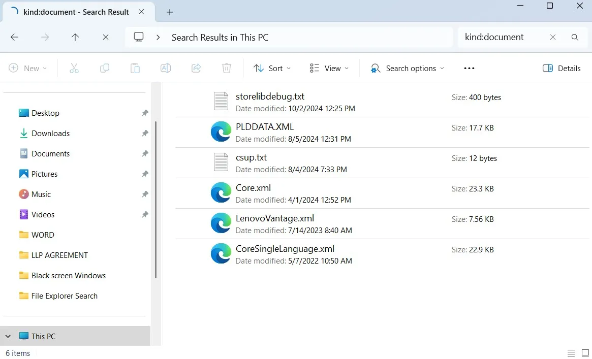 File Explorer search by file type