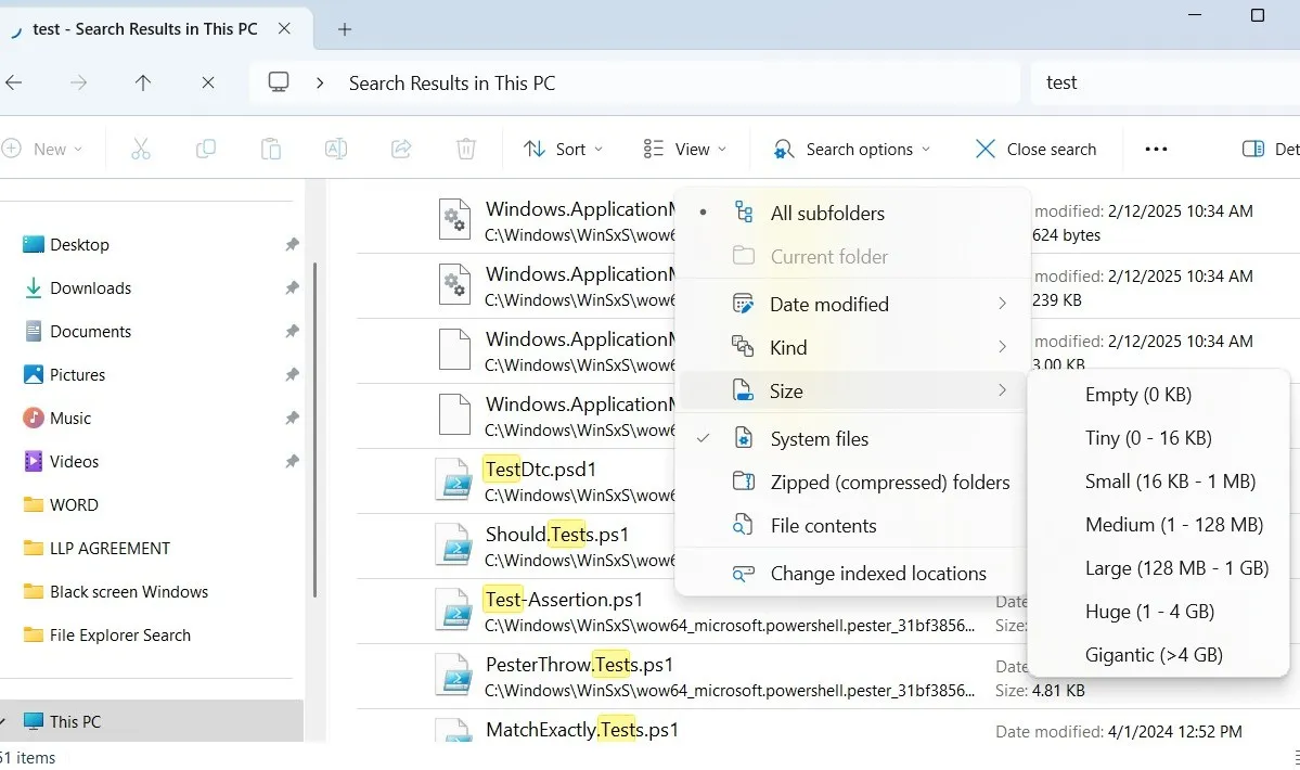 File Explorer search options menu on Windows