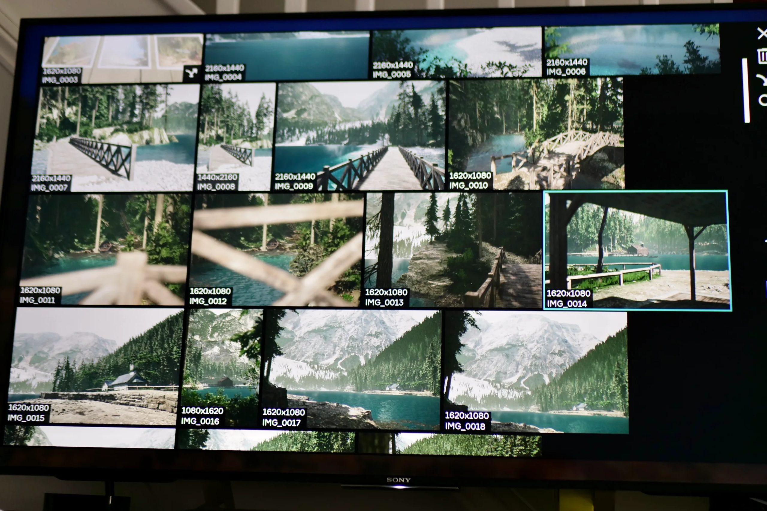 The camera roll screen in Lushfoil Photography Sim.