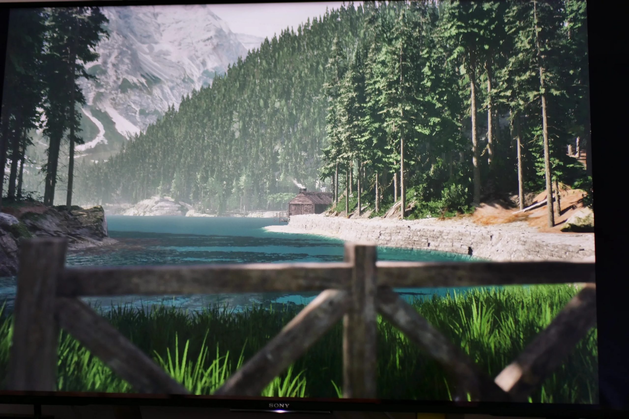 صورة تم التقاطها في لعبة Lushfoil Photography Sim.