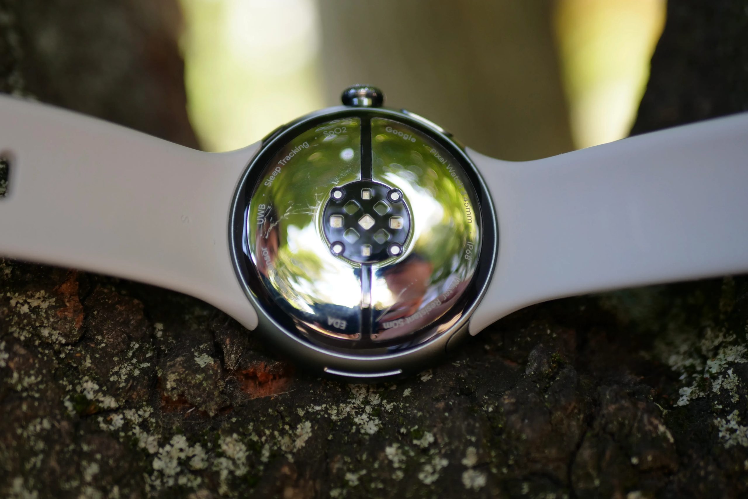 الجهة الخلفية لساعة Google Pixel Watch 3.