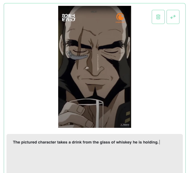 Animon.ai video generator prompt