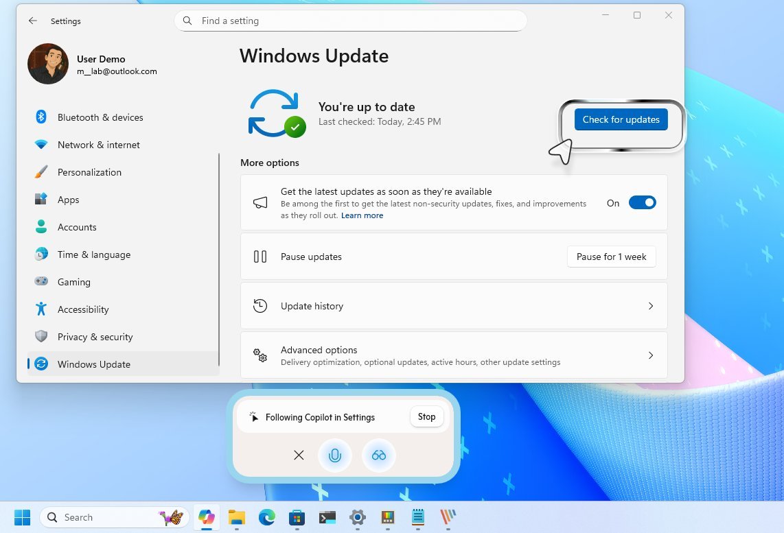 Copilot Vision change settings