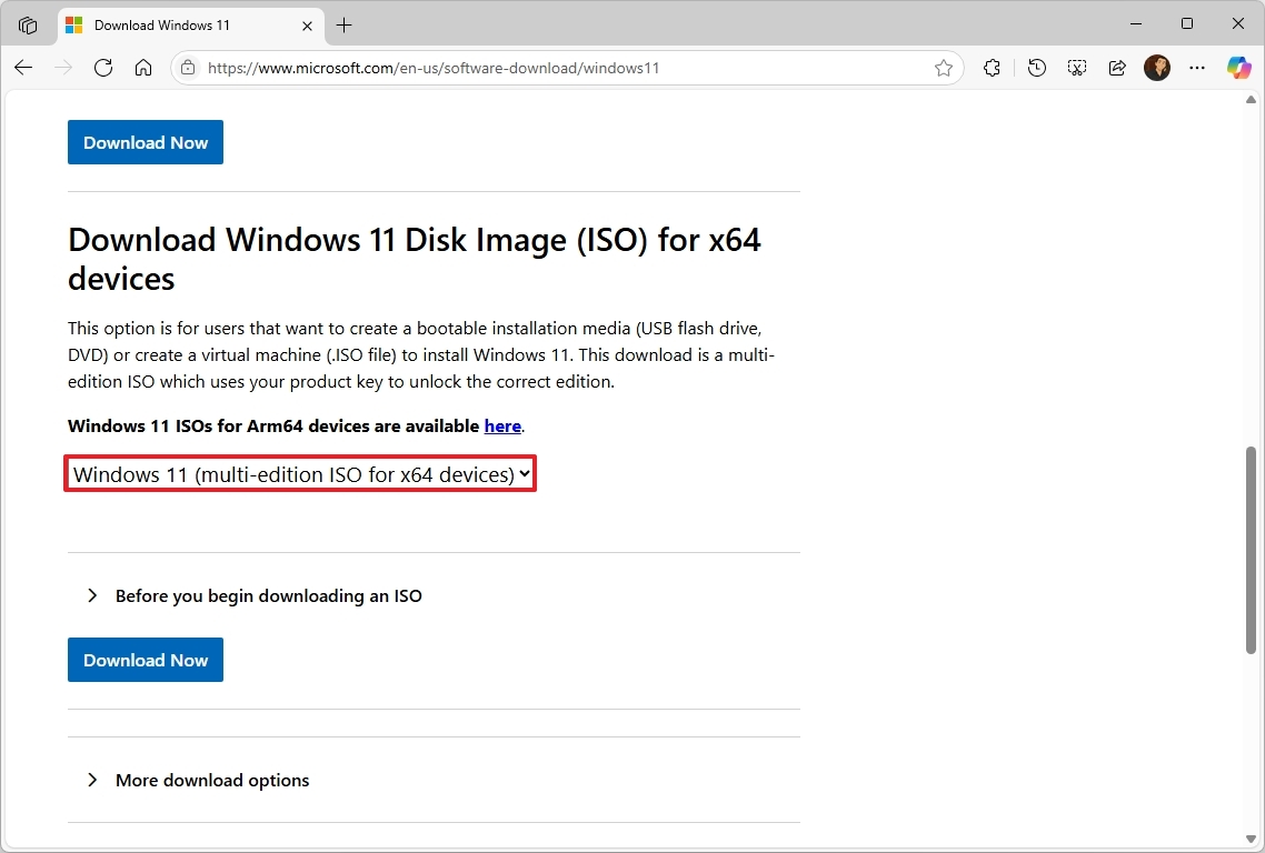 Windows 11 ISO download option