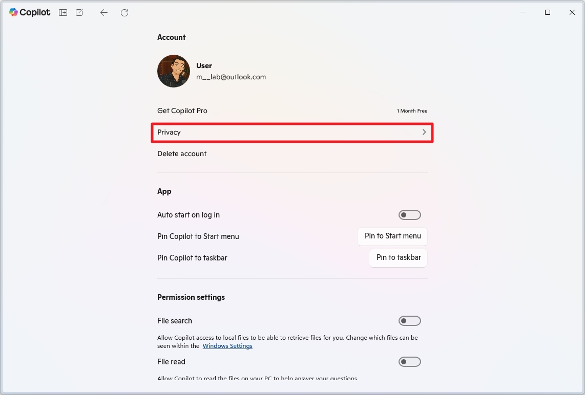 Copilot open privacy settings