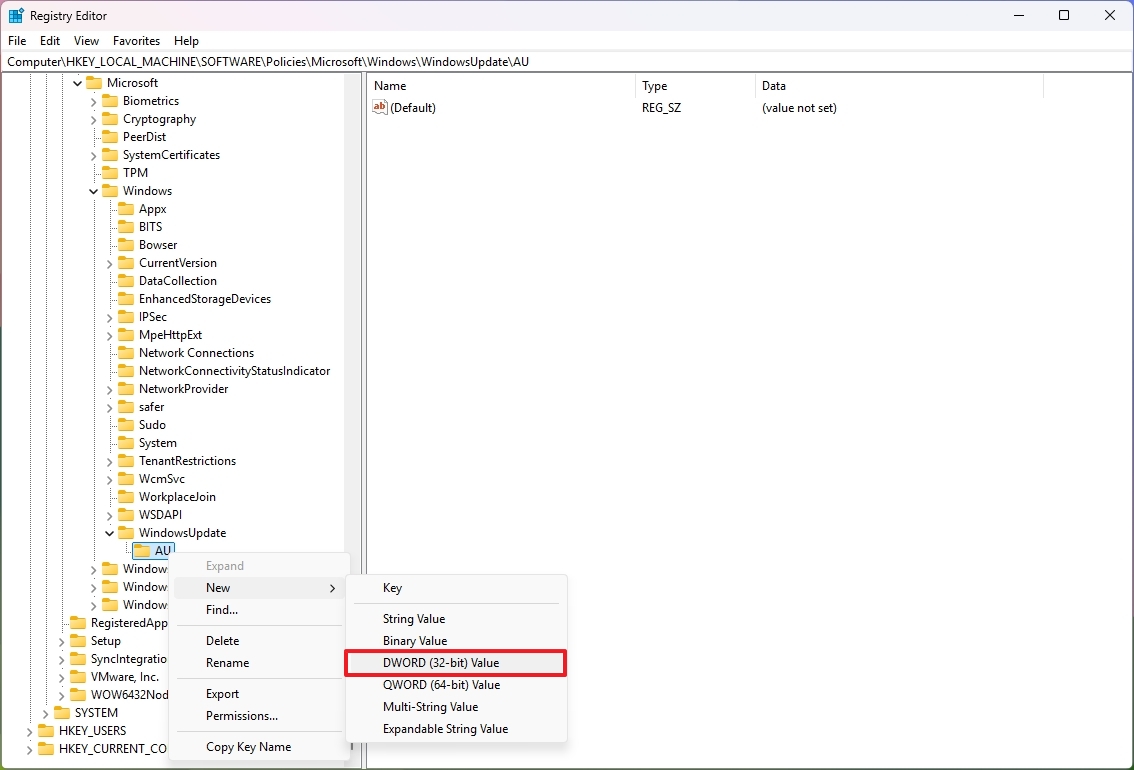 Registry create NoAutoUpdate key