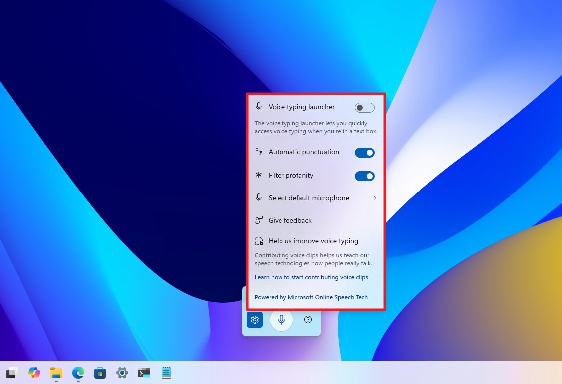 Voice Typing Settings