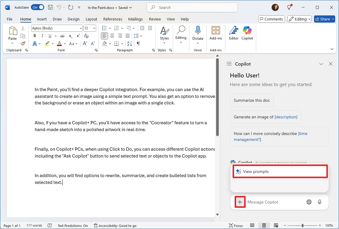 Word view Copilot prompts