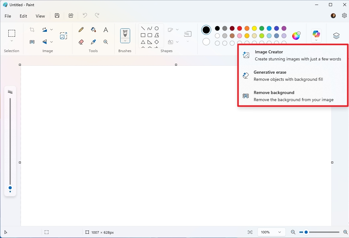 Paint Copilot options