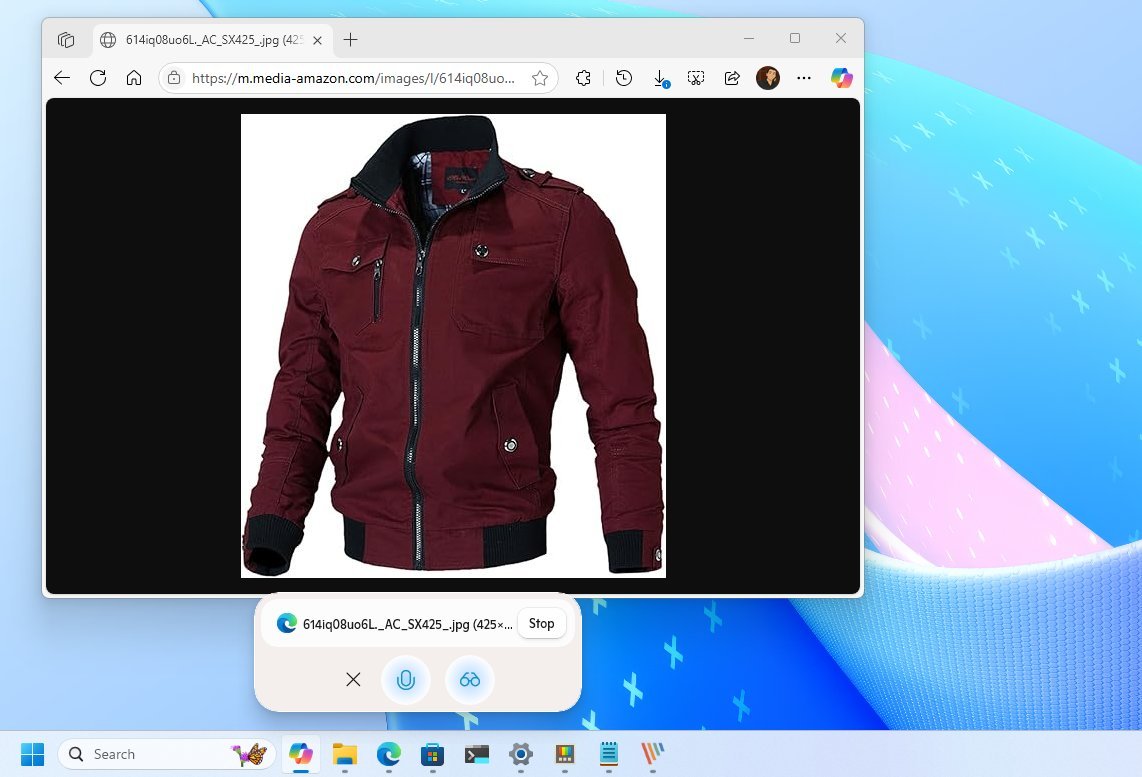 Copilot Vision recognizing objects