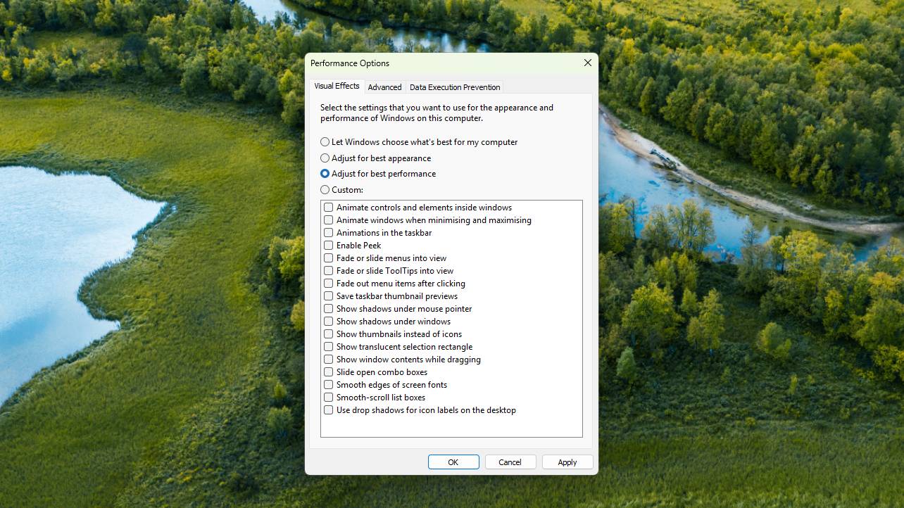 Screenshot of Windows 11 showing Control Panel Performance Options