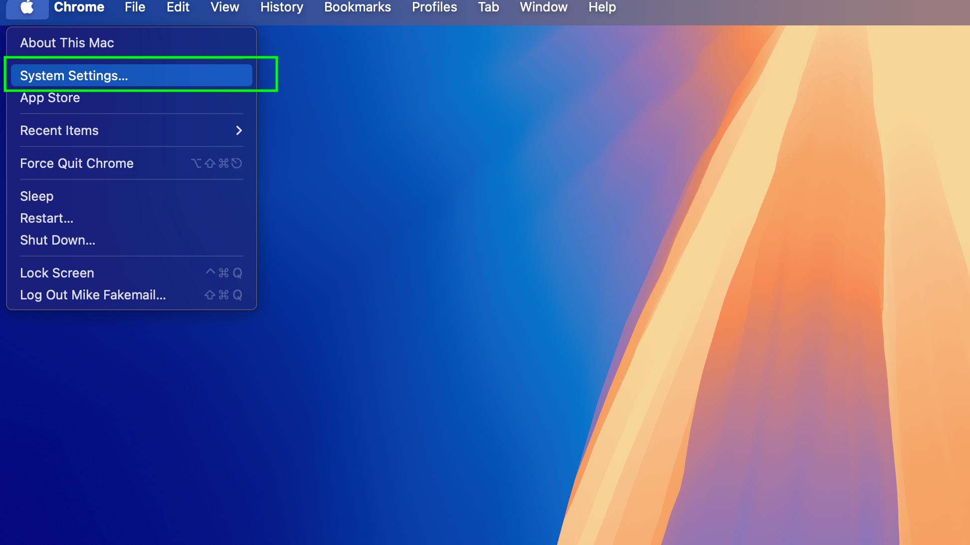 The System Settings menu of macOS 