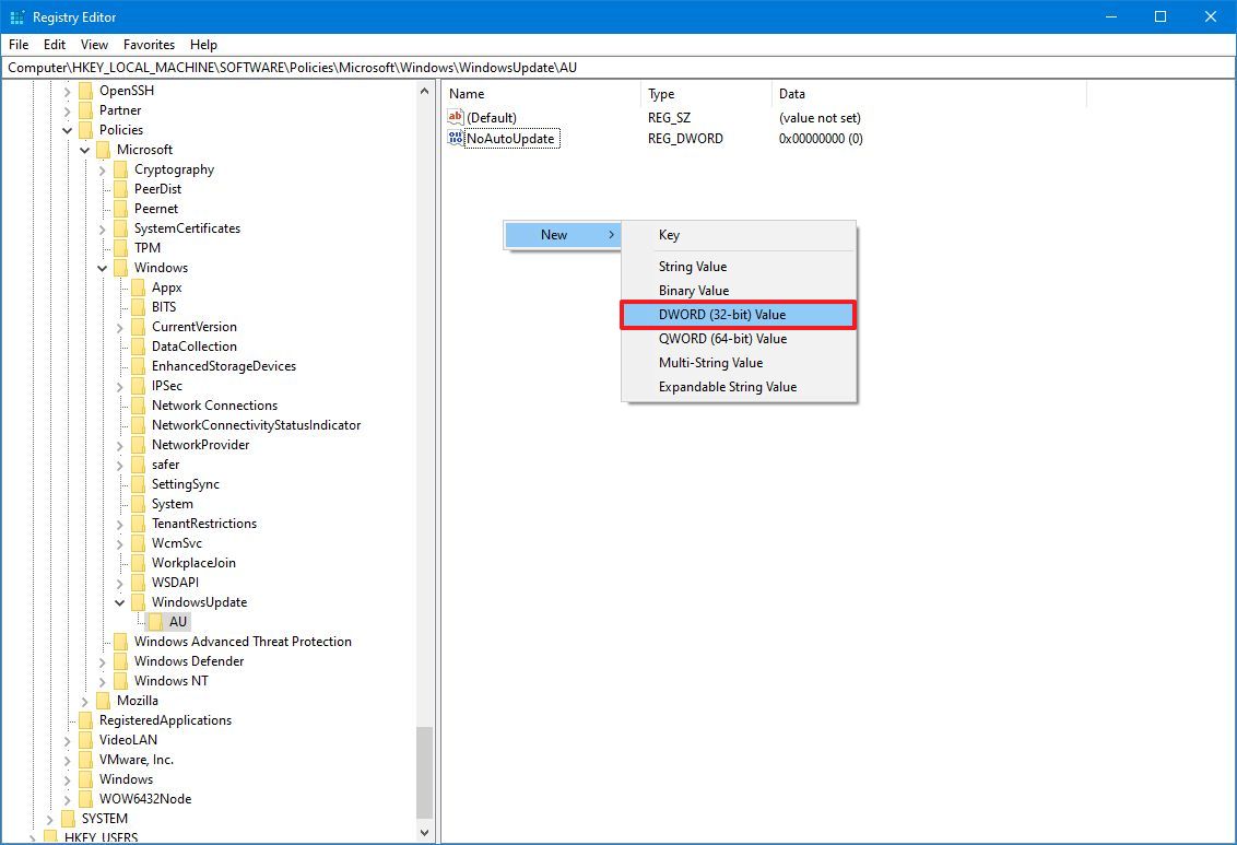 NoAutoUpdate registry DWORD