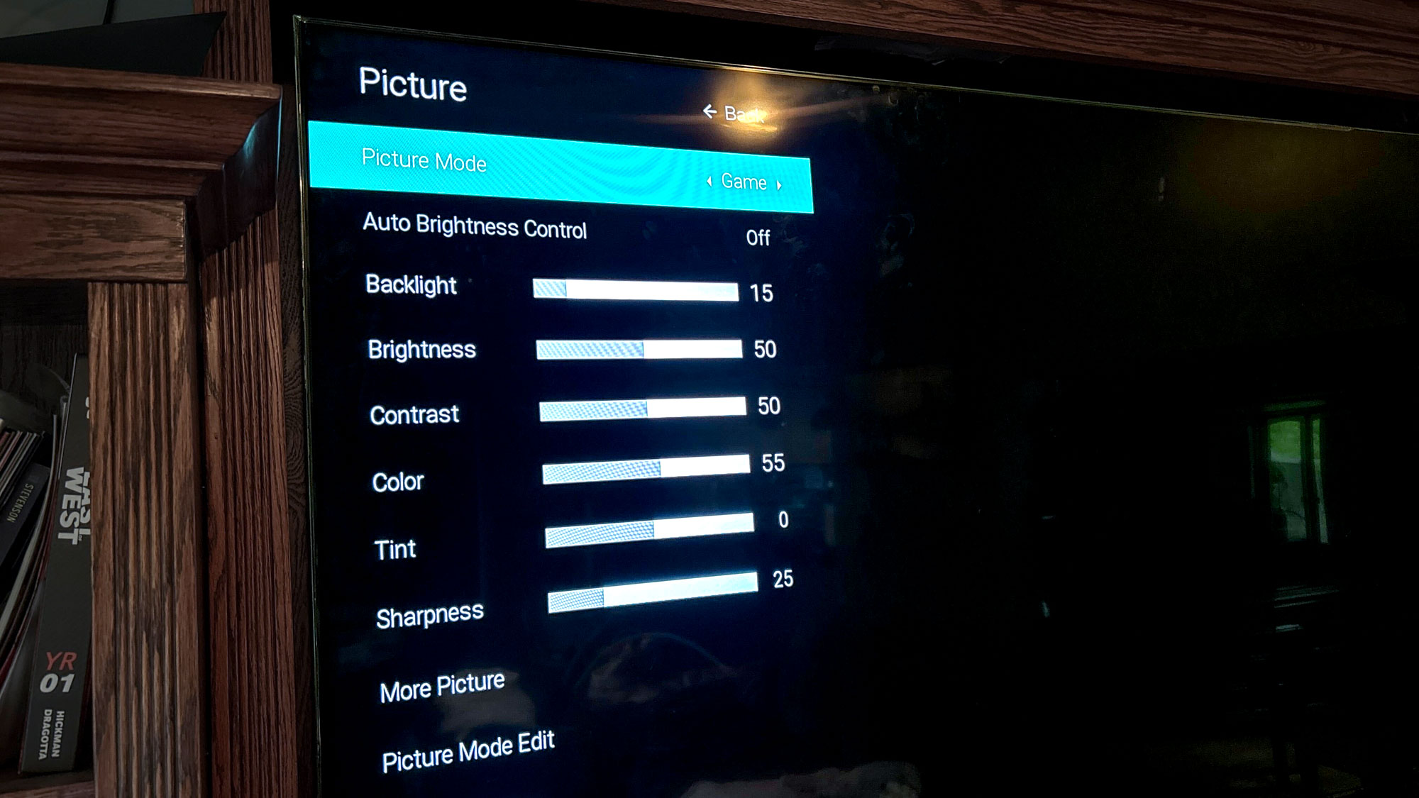 Vizio TV on stand in living room