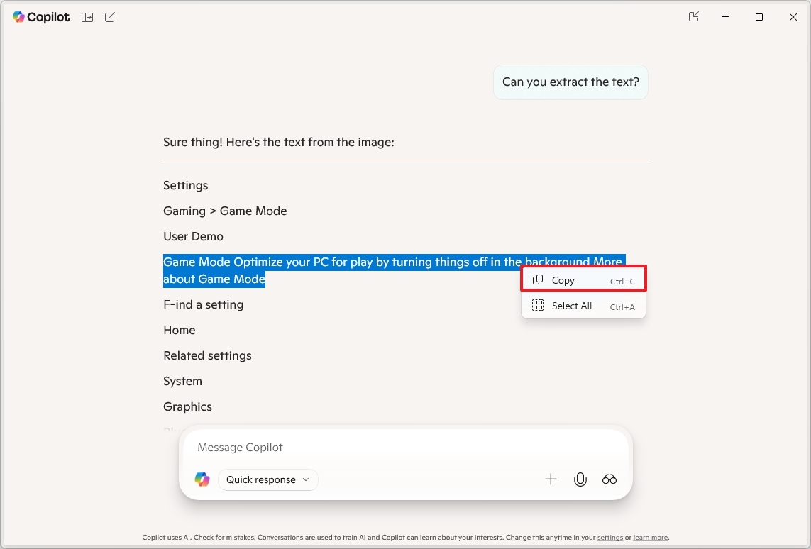 Copilot Vision extracted text