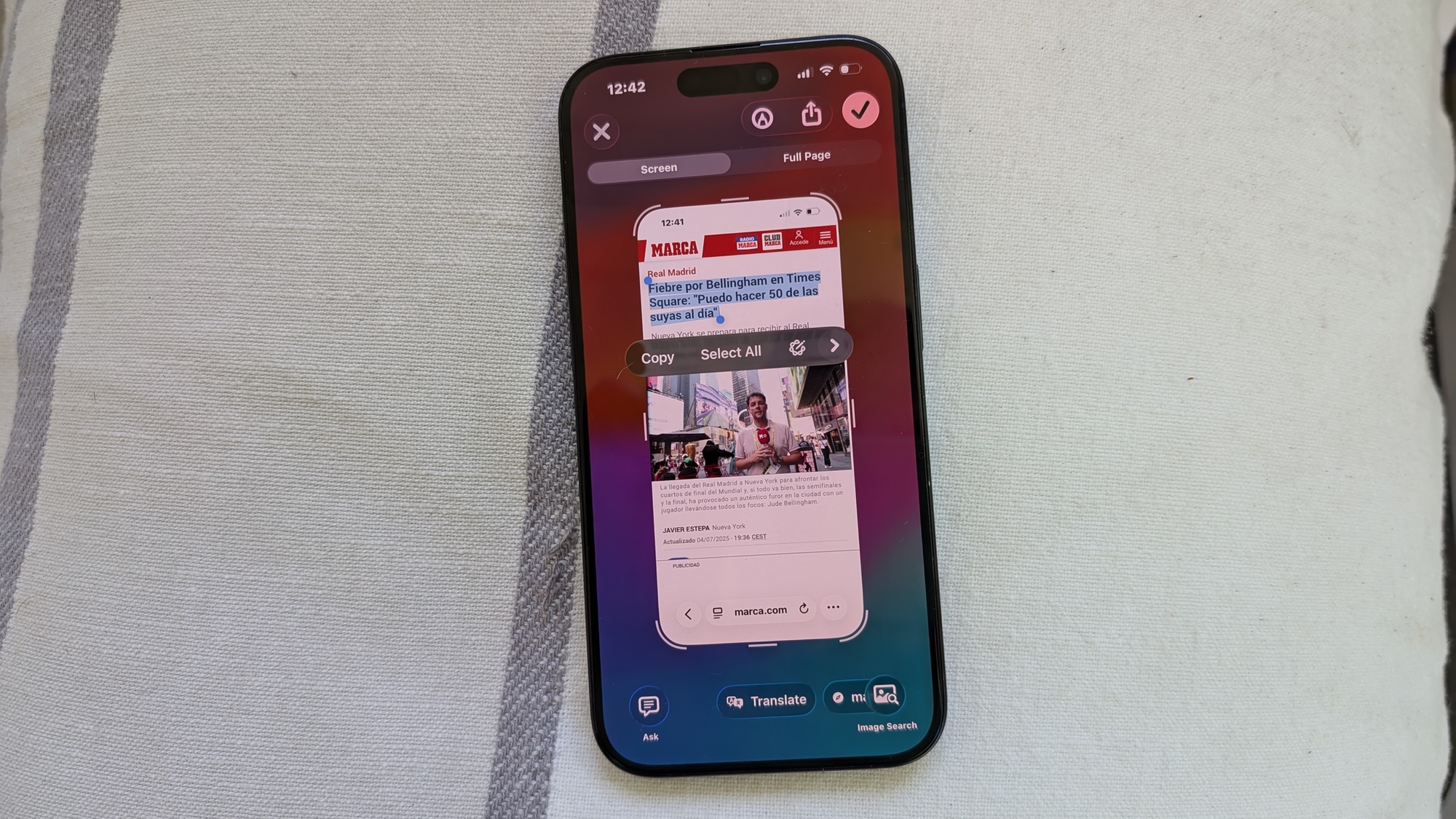 Visual Intelligence translating an article in iOS 26
