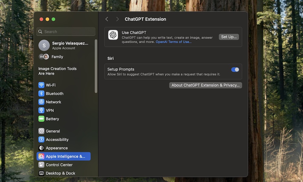 Enable ChatGPT Extension on Mac