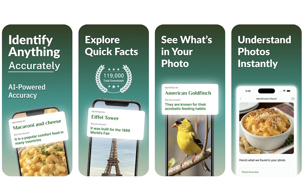 Identify Anything With AI