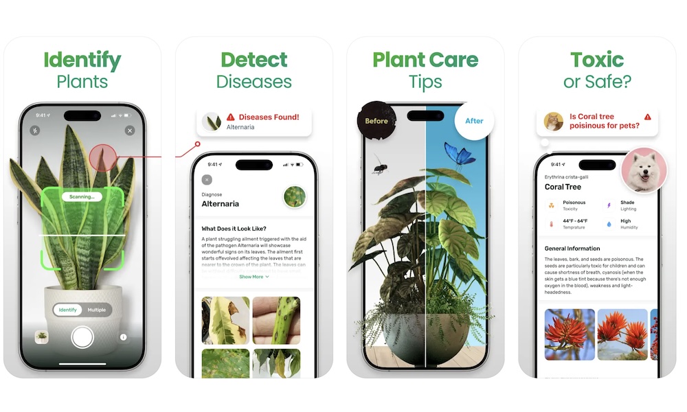 Plant App: Plant Identifier
