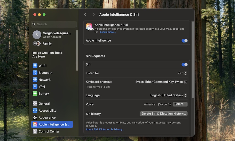 Turn on Apple Intelligence on Mac