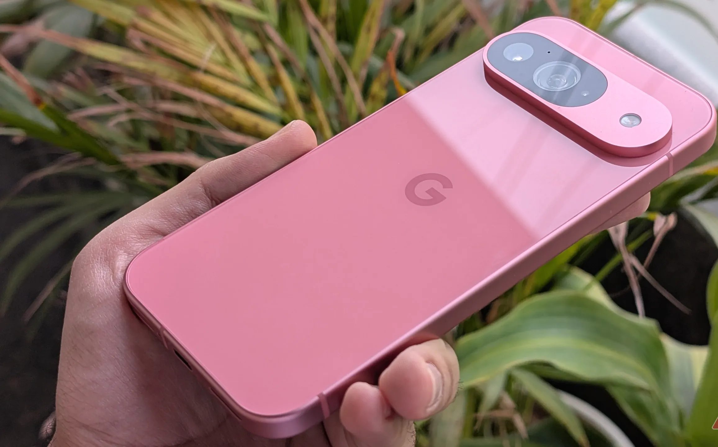 Google Pixel 9 تحت أشعة الشمس