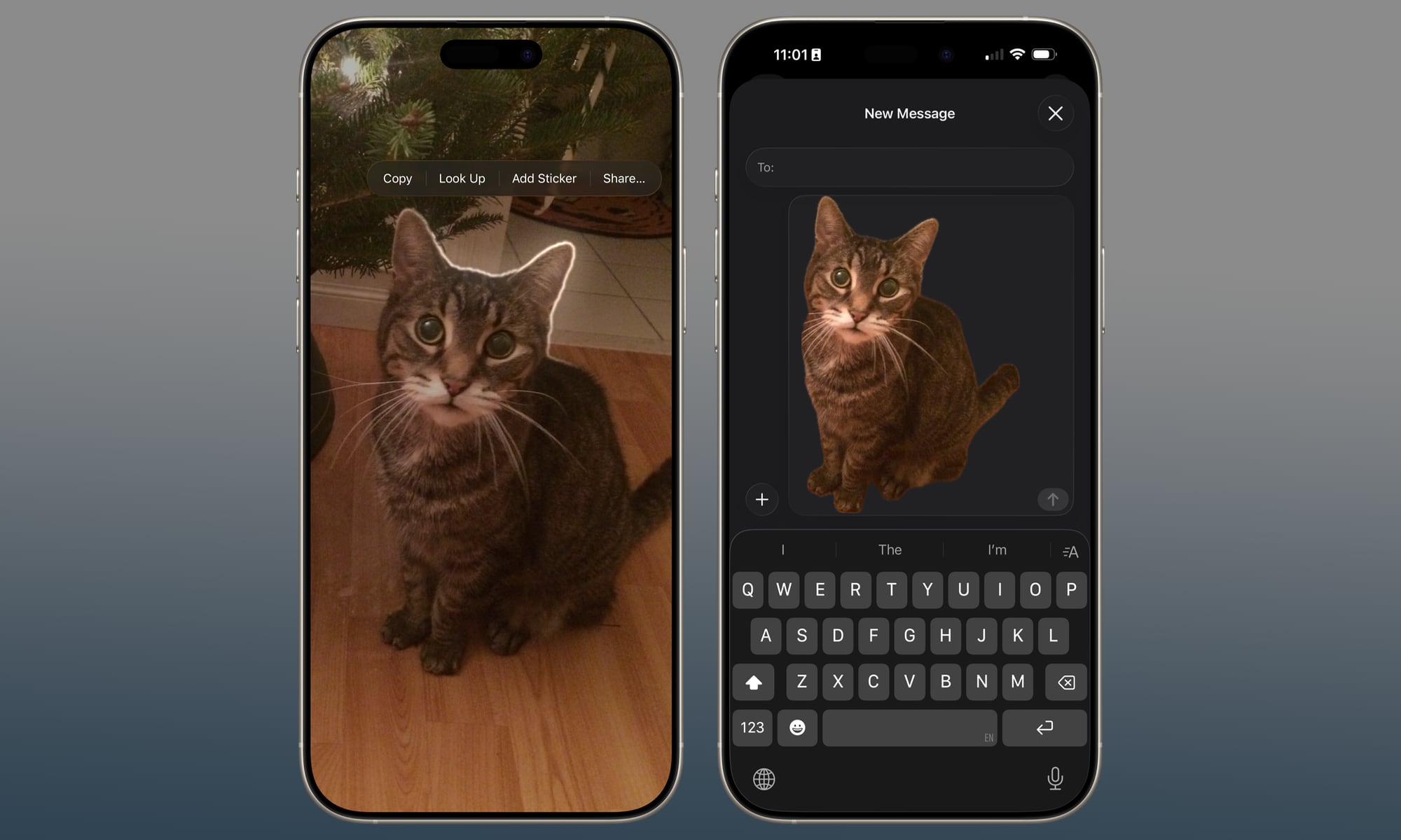 iOS 26 Lift Subject from Background Photos App cat piccolo
