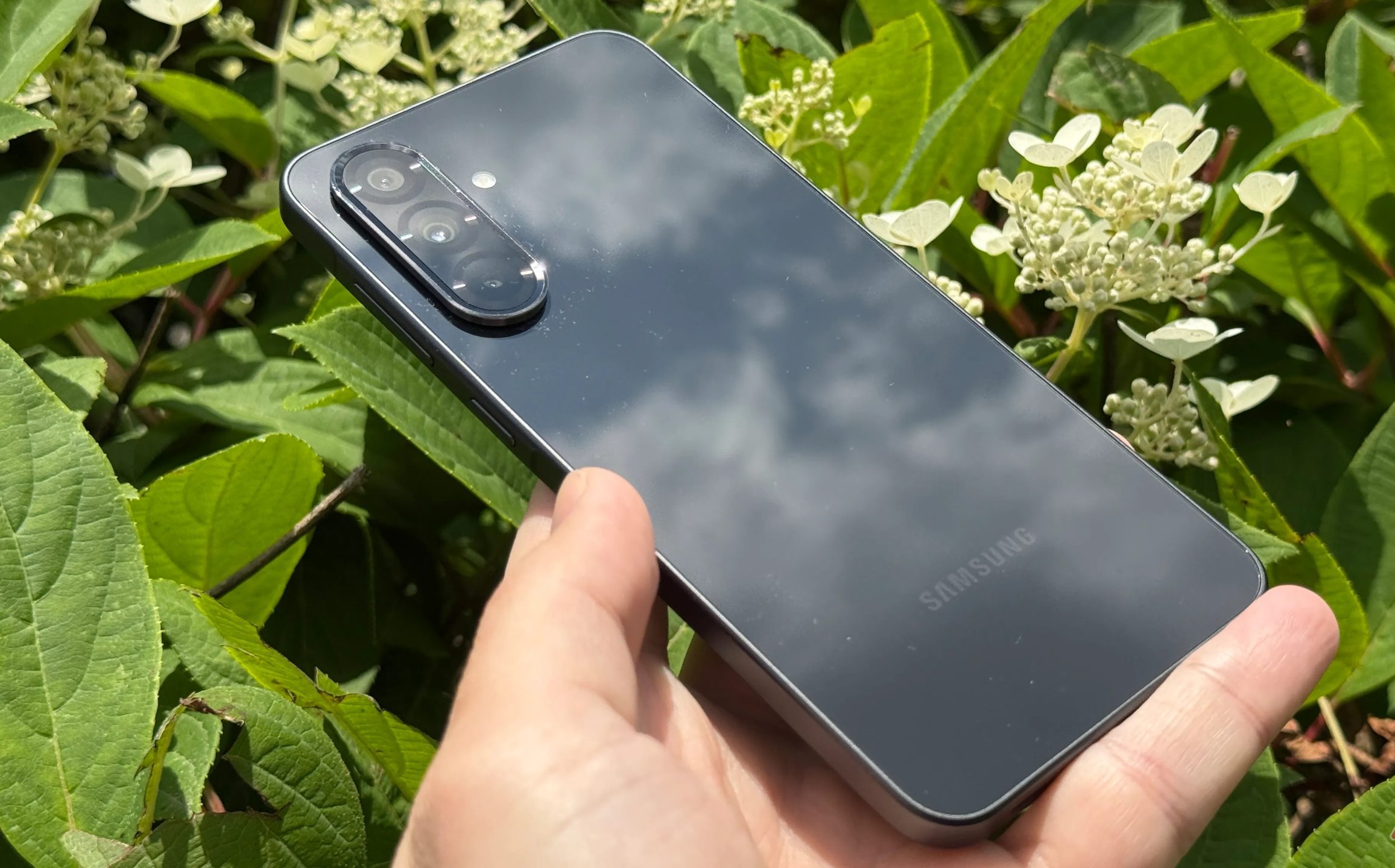 Samsung Galaxy A36 مع انعكاس ضوء الشمس على ظهره