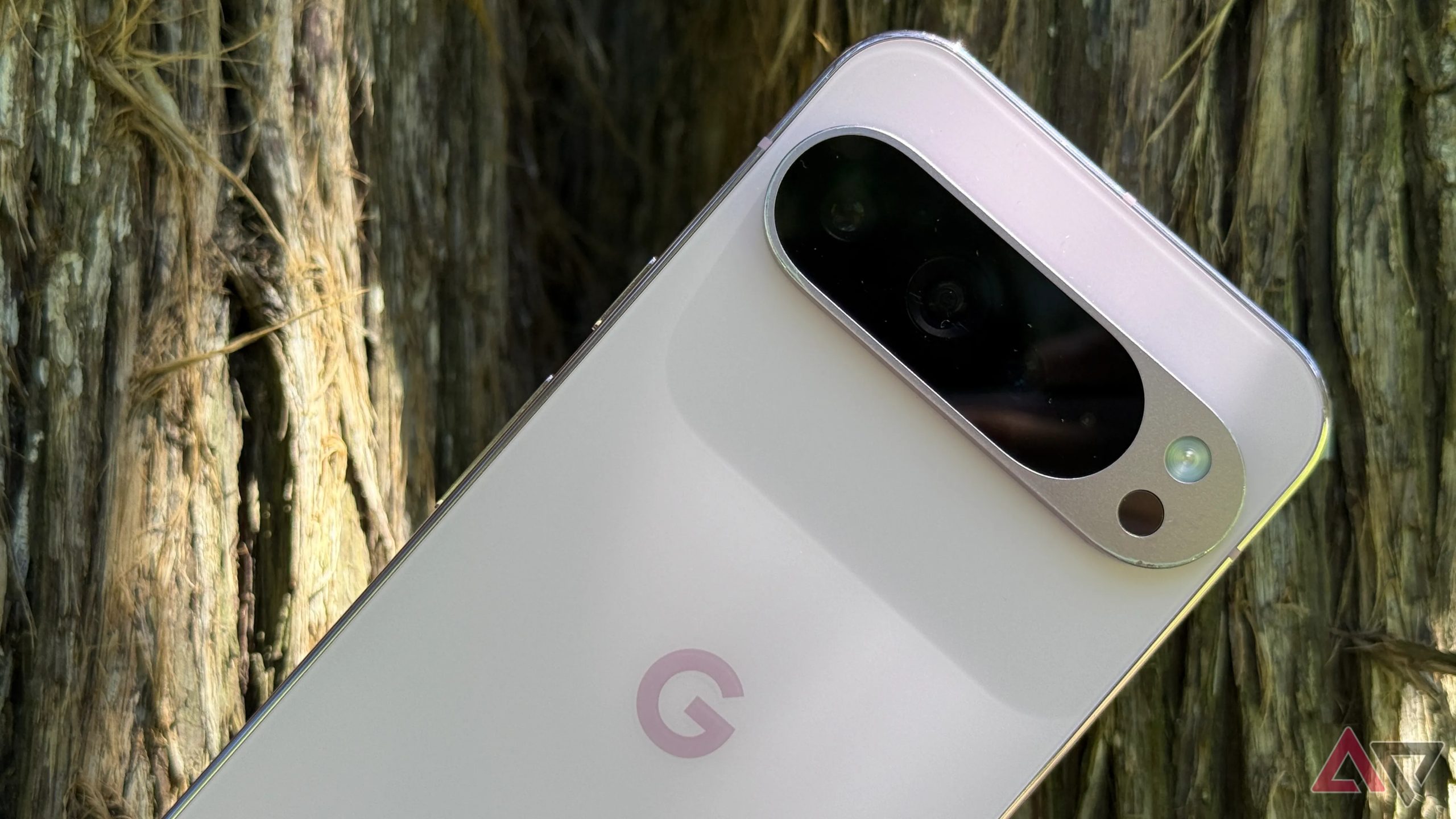 هاتف Google Pixel 9 Pro XL مرفوع أمام شجرة