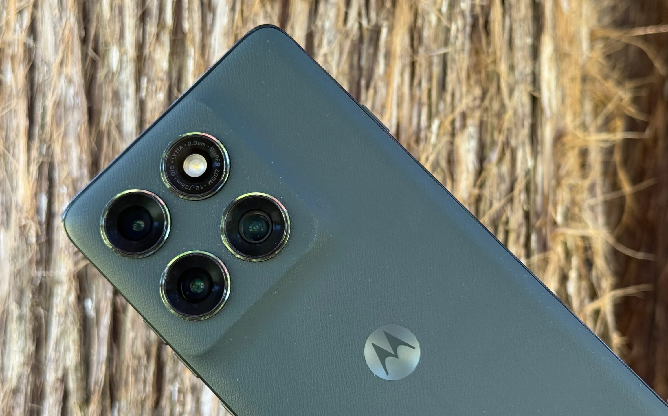 Motorola Edge 2025 ممسك به مقابل شجرة بنية