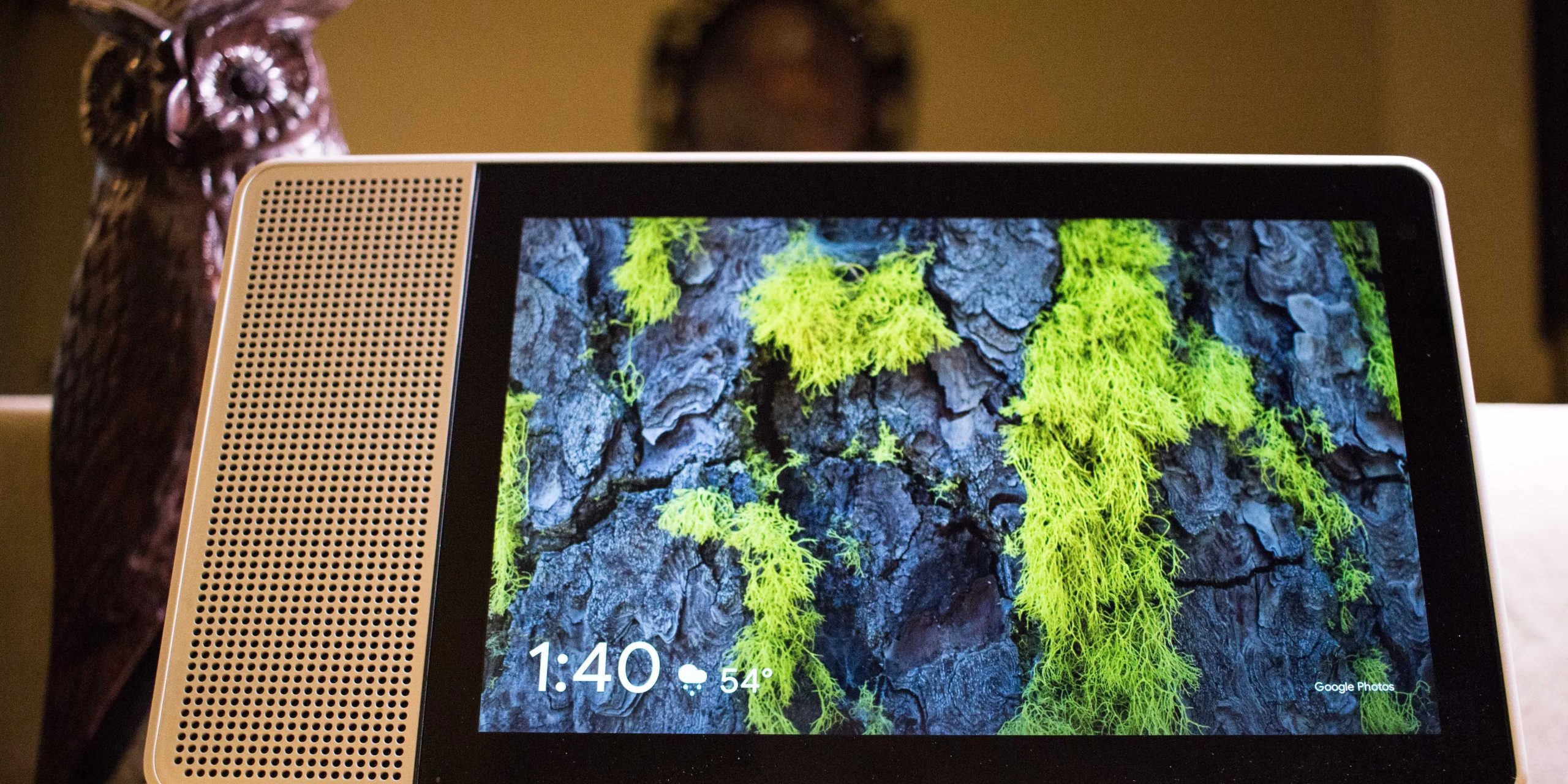 شاشة ذكية تعرض الطقس والوقت مع خلفية من اللحاء والطحلب