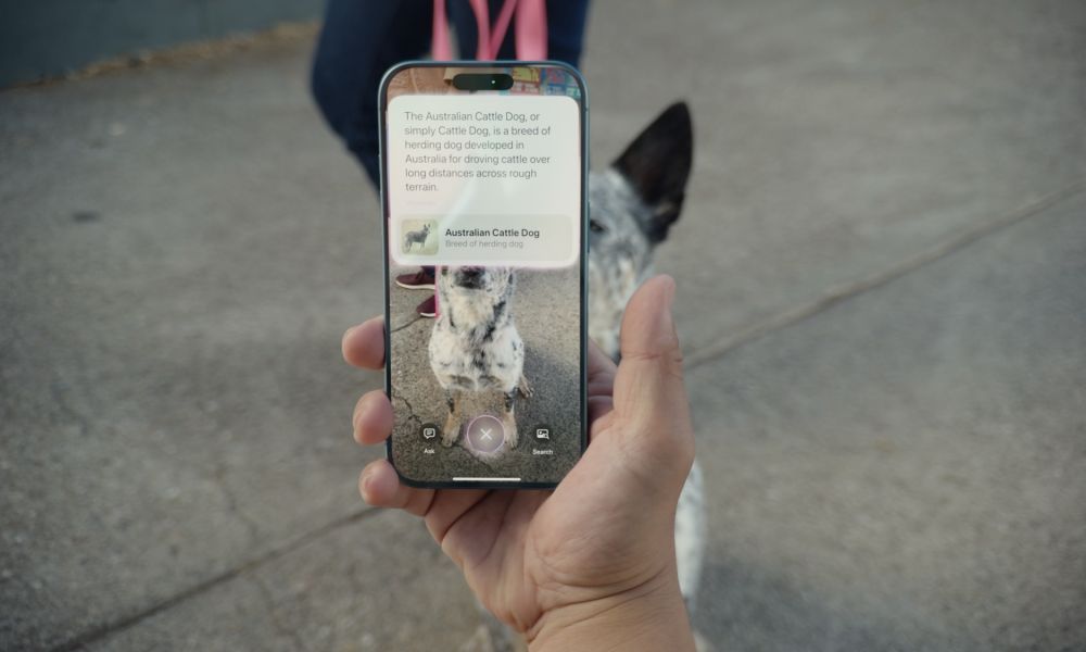 Glowtime iPhone 16 86