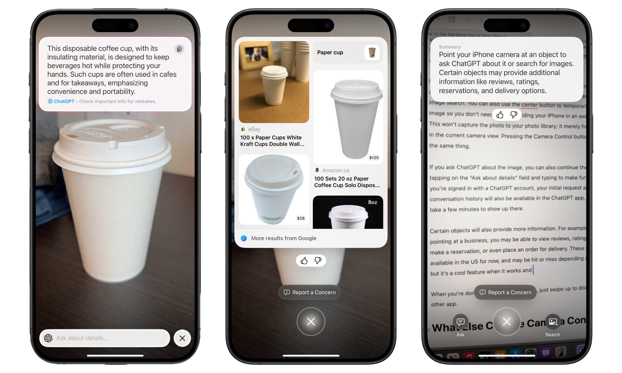 Visual Intelligence in iOS 18.2