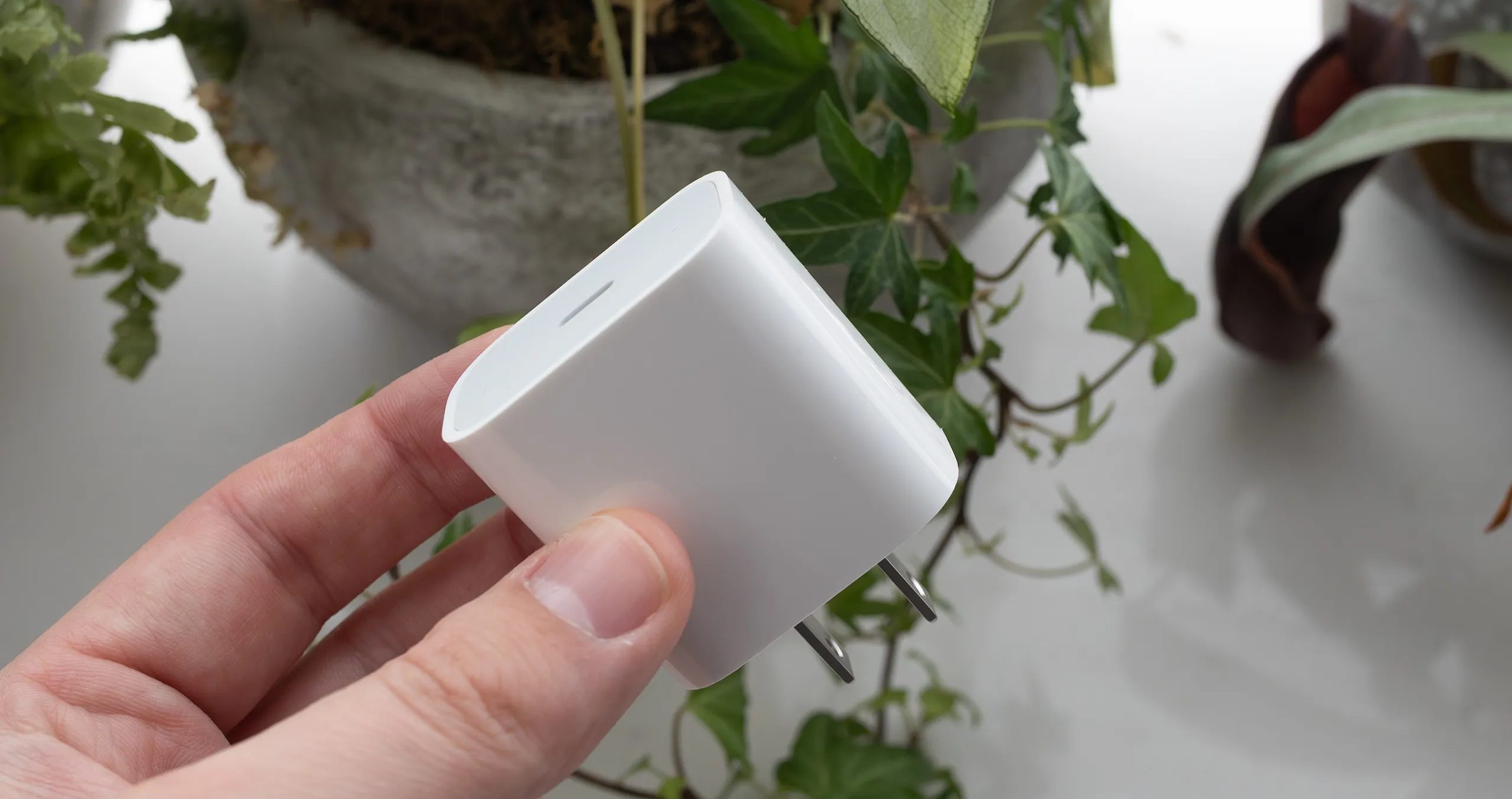 iPhone charging brick. 