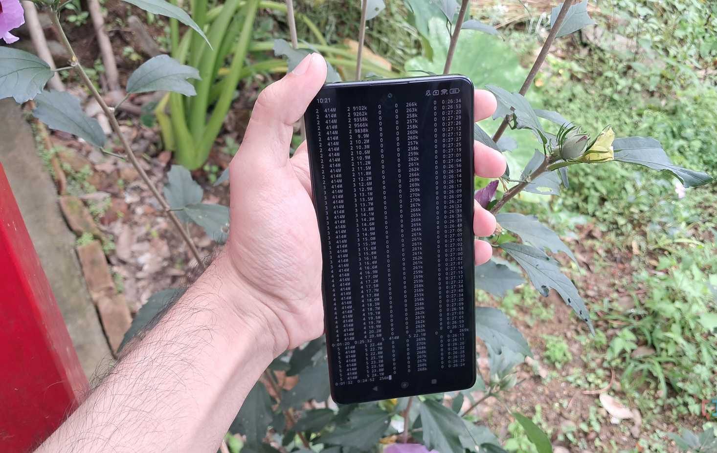 Installing DokuWiki in proot-distro