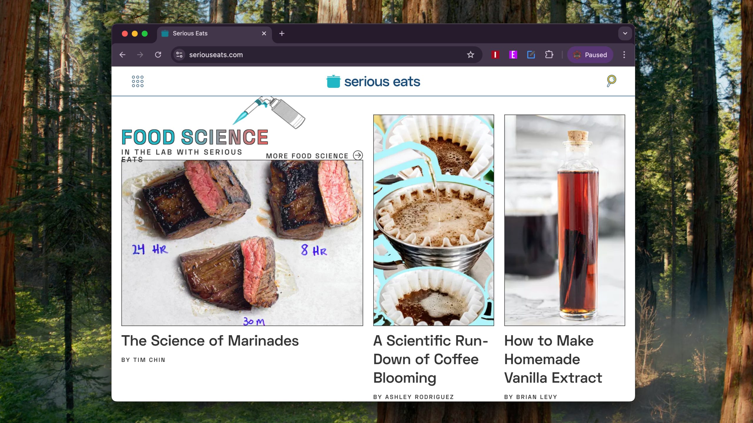 Google Chrome يعمل على جهاز MacBook Pro 2023